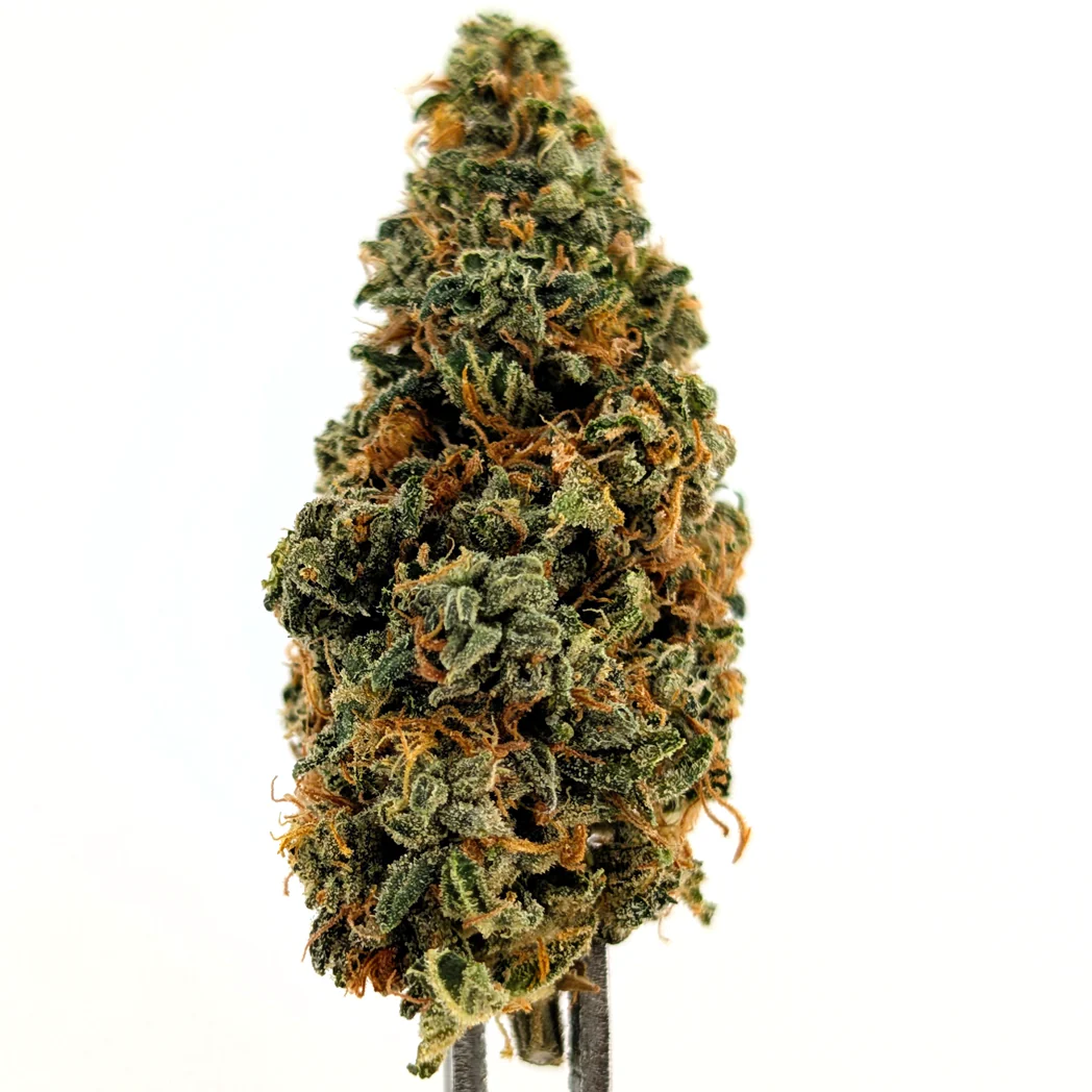 Newest Flower Strains